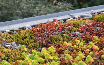 the cost of Upper Langford green roof installation
