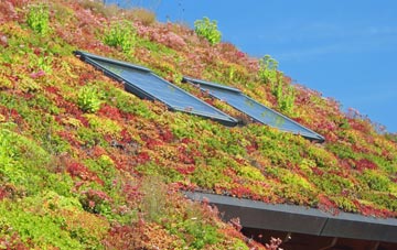 Upper Langford living roof systems