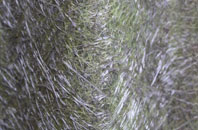 Upper Langford fibreglass roof work